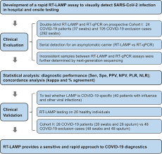 Development And Clinical Application Of A Rapid And Sensitive Loop Mediated Isothermal Amplification Test For Sars Cov 2 Infection Msphere