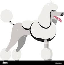 English saddle clip Cut Out Stock Images & Pictures - Alamy