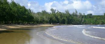 East shore nuʻalolo kai beach: Niumalu Beach Park Kauai Beach Scoop
