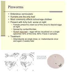 Pin On Parasitology
