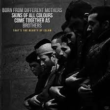 We Are All Brothers And Sisters In Islam Allah Made Us Muslims It Is The Greatest Blessings Upon Us We Should Show Our Gratefulness And We Should Not Be Arrogant May Allah