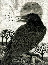 Art Card Raven S Song From Scraperboard Original Design Crow Art Black Bird Art