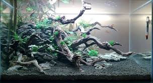 Driftwood Rock And Plants Aquarium Fish Tank Cichlid Aquarium Fish Tank Plants