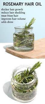 Rosemary Oil For Faster Hair Growth Rosemary Oil For Hair Rosemary For Hair Hair Growth Faster