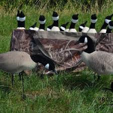 Check spelling or type a new query. Kanadaganse Lockvogel Pro Decoys Gunstige Beflockte Lockganse