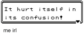 It Hurt Itself In Its Confusion Irl Meme On Me Me