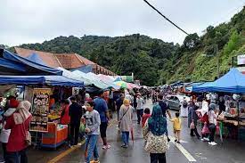 More than three generations of the van raay and paskal families joined their feedlot and farming businesses in 2015 to create vrp. Pasar Pagi Kea Farm Cameron Highlands Percutian Bajet