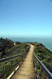 Muir Woods Beach California California Travel California Travel Road Trips Places To Travel