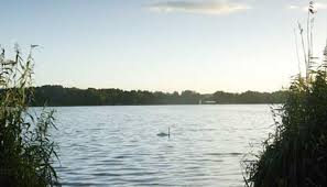 Garden ponds add beauty and interest to your yard. Frensham Great Pond Lake Reservoir In Farnham Waverley Visit Surrey