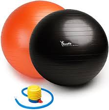 11 18 2016 Exercise Ball Luxfit Premium Extra Thick Yoga