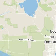 Owner Details for (954) 583-4891 Revealed