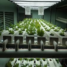 Водная культура.техника питательного слоя (nft). Upvc Rectangular Hydroponic Nft Pipe Rs 220 Meter Apex Green Id 21272901962
