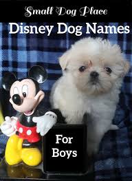 You could go with a classic like goofy or pluto or something a little different like bolt or perdita. Disney Dog Names For Boys