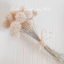 Dried Antique White Beige Scabiosa Pods Starflower Flowers Preserved Dried Flowers Flora Natural Florist Craft Supplies Stems Bouquet Bunch Dried Flowers Scabiosa Pods Dried Flower Arrangements
