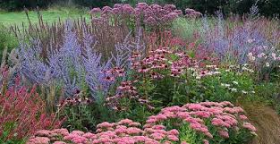 Lady Farm Plants Garden Inspiration Side Garden
