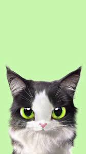Pin By Elizaveta Sheina On Kotiki Cats Illustration Cat Phone Wallpaper Kitten Wallpaper