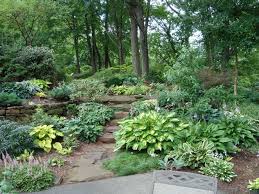 Pin By Gareth Botha On Shade Garden Shade Garden Design Rain Garden Design Shade Landscaping