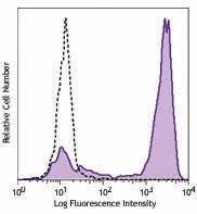 The igg antibody secretory cells (ascs) in small intestine were particularly observed through immumohistochemical staining, then after were analyzed by statistical methods. Brilliant Violet 421 Anti Human Cd192 Ccr2 Antibody Anti Cd192 K036c2