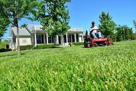 Lawn Care 101: Your Seasonal Guide To Lawn Care & Maintenance