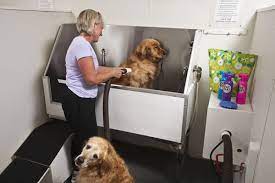 Find affordable dog boarding on care.com, the world's largest website for care. Dog Wash Grooming Pet Depot