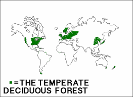 Temperate Deciduous Forest - Lol Biomes