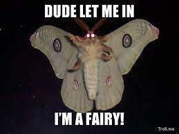 Ahhahahahahaha Moth Savage Funny Best Funny Pictures