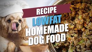 Homemade dog food does not contain preservatives. Lowfat Homemade Dog Food Recipe Youtube
