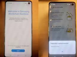 Galaxy S10 Leak Shows Hole Punch Display And Cryptocurrency Wallet The Verge