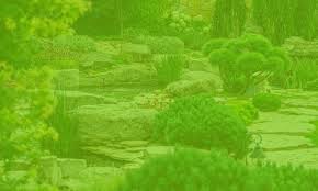 It provides information about pest management to professional interiorscapers and landscapers as well as other commercial applicators working with ornamental plants. Kathleen S Lawn Shrub Care Lawn Care Experts In Csra Kathleen S Lawn Ornamental Pest Control