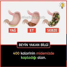Ilginc Bilgiler Panosundaki Pin