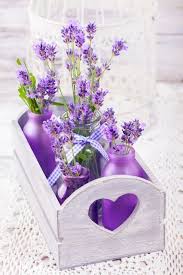 Violbluviol Fiori Di Lavanda Campi Di Lavanda Composizioni Floreali