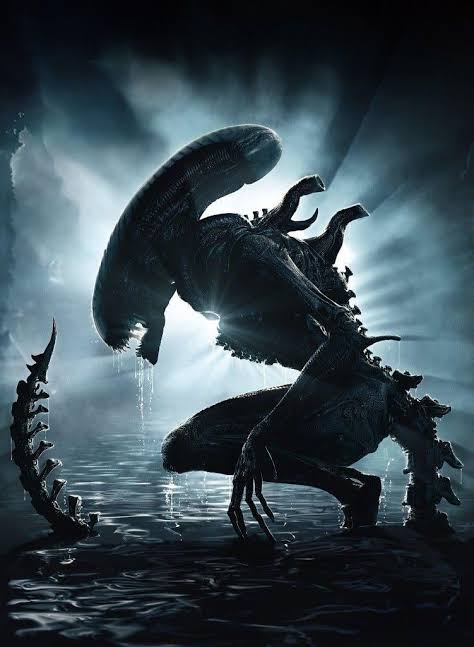 As Fans of the Alien franchise what are some things that you would like to  see in the next big screen part of the series? : r/LV426