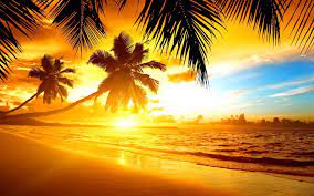 We did not find results for: Tropical Island Sunset Wallpapers Wallpaper Cave