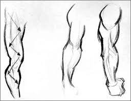 · last updated:may 18, 2020. Anatomy As Shape Drawing Life Joshua Nava Arts
