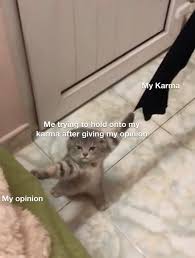 An entire hour of daily dose of internet | (no intros). Hello Everyone This Is Your Daily Dose Of Internet Dankmemes