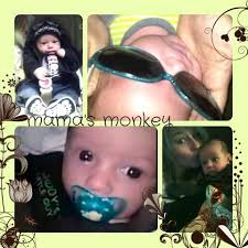 David Bingenheimer Obituary (2014