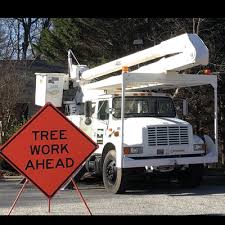 Asheboro tree experts ⭐ , united states, climax, 3869 plum tree rd: The 10 Best Tree Removal Companies In Greensboro Nc 2021