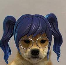 Content posted in this community. 15 Xbox Ideas Dog Icon Dog Images Gamer Pics
