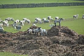 Séparateur de lisier de bouse de vache utilise la pompe pour tirer le fraisbrutmatériel,fumier animalindustrielle déchetsdsds,déchets de jus de fruits, etc. Potager Quels Sont Les Meilleurs Fumiers Pour Le Jardin