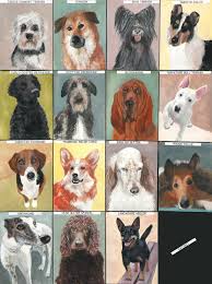 The westminster kennel club dog show this year is in a serene setting (give or take some barking): Dogs Zoom Days Entry In National Purebred Dog Day Fine Art Poster Competition 2021