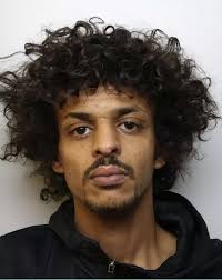 The 46 criminals locked up this month in Greater Manchester