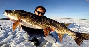 Wolf Lake Northern Pike Ice Fishing With Windlass Tip Ups Ice Fishing Fish Trout Fishing Tips
