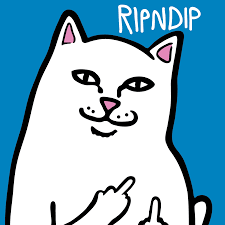 Description rip n dip everything'll be ok windbreaker jacket sick nylon windbreaker in black with large screened graphics on the hood and. Ripndip Home Facebook