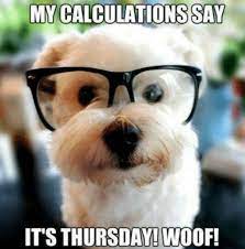We did not find results for: 80 Funny Thursday Memes Images Pictures Photos