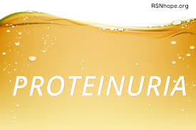 Proteinuria Protein In The Urine Is An Early Sign Of Kidney Disease Renal Support Network Kidney Disease Renal Support Kidney