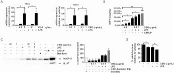 Among the more than one million people vaccinated with the squalene adjuvanted pandemrix vaccine in stockholm county (the only vaccine used in sweden against pandemic h1n1), the risks of bell's palsy and paraesthesia were increased. Cinobufagin Modulates Human Innate Immune Responses And Triggers Antibacterial Activity