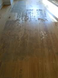Maybe you would like to learn more about one of these? A Guide For Removing Adhesive From Hardwood Flooring Cleaning Wood Floors Removing Vinyl Flooring Carpet Glue