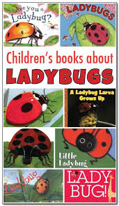 Books About Ladybugs For Kids Preschool Books Books Ladybug