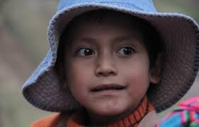 ANEXO AL INFORME DE PROGRESO SEMESTRAL