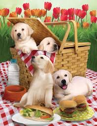 Foto Avtor Irishka Manyushka Na Yandeks Fotkah Animals Cute Animals Dog Art